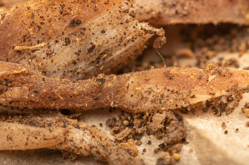 thinly sliced homemade lard with pepper on white oiled paper, close-up, selective focus.