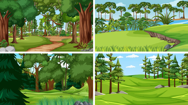 Different empty forest scenes