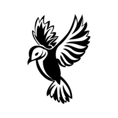 Bird Logo Vector Design Template.