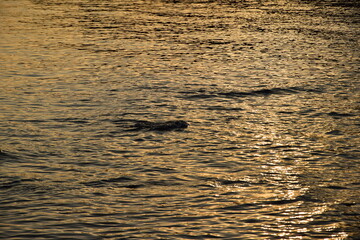 Sunset, Sardinia, Italy