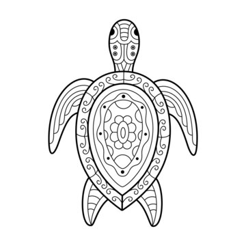 Hand drawn of turtle in zentangle style