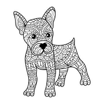 Hand drawn of boston terrier dog in zentangle style