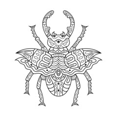 Hand drawn of Beetle in zentangle style