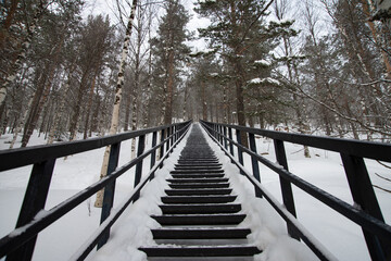 wooden bridge in winter