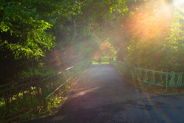 Empty alley in Cismigiu park in Bucharest, capital city of Romania