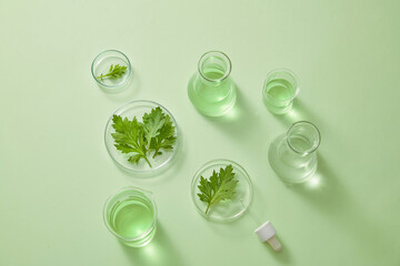 Mugwort research decorated in petri dish in green laboratory background for experiment advertising 