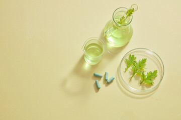 Mugwort decorated in petri dish with blue capsule in laboratory background for experiment advertising 