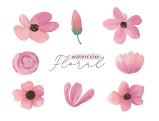 Watercolor pink floral element set of wildflowers, herbs, leaf branches. Isolated botanical wedding on white background