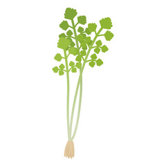 せりのイラスト