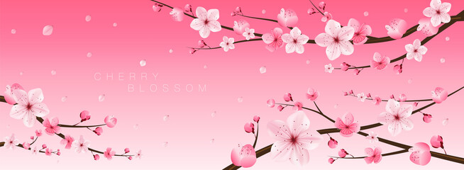 Cherry blossom, sakura, Japan,Japanese floral pattern ,vector illustration.