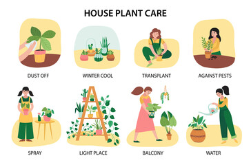 Fototapeta premium Home Plants Composition Set