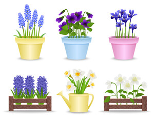 Spring Flower Pots Set