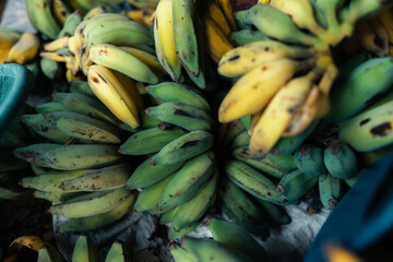 cultivated banana for processing ,Banana in the hand of the seller