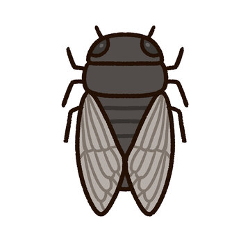 Kumazemi Images Browse 5 Stock Photos Vectors And Video Adobe Stock