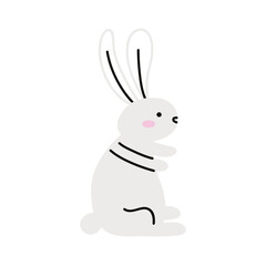 cute rabbit white seated
