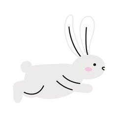 cute rabbit white running