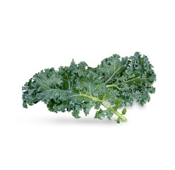 Fresh kale isolated on white background
