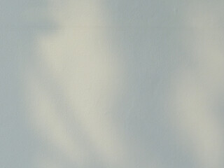 The shadow of the sun shining through the wood