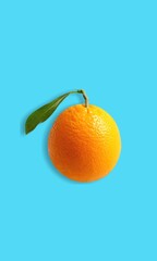 Orange fruit for immune system boost. High in antioxidants, bioflavonoids and vitamins.