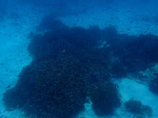東ティモール　ジャコ島の海
