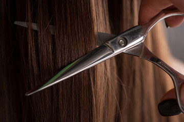 Cut hair of a woman, close up. Hairdresser hold scissors closeup. Haircut concept. - obrazy, fototapety, plakaty