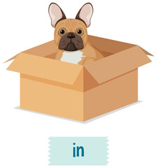 Prepostion wordcard design with dog in box