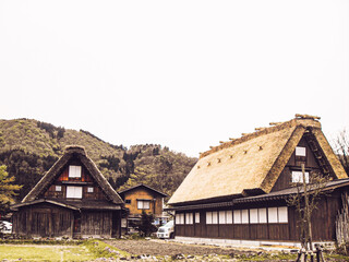 Fototapeta na wymiar the beautiful scenery, the unique Japanese thatched-roof farmhouses. the Historic Villages of Shirakawa-go and Gokayama