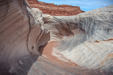 The Nautilus Formation, Paria Canyon and Vermilion Cliffs National Monument, Utah