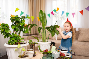 a little pretty girl wipes the leaves of a houseplant with a damp cloth 