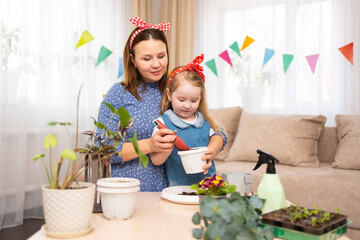 a mother and daughter pour the ground into a pot for transplanting houseplants.