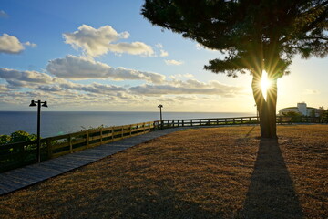 Fototapeta na wymiar beautiful seaside walkway