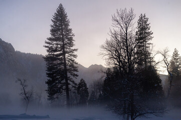 An eerie mist covers the floor of yosemite valley, while a thin layer of snow outlines the trees in during a beautiful sunset.