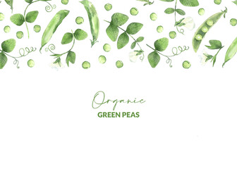 Border with watercolor pea pods
