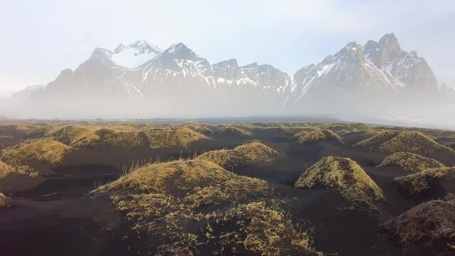 Fantastic scene of Stokksnes cape with Vestrahorn (Batman Mountain) on background. Summer view of Iceland with field of blooming lupine flowers. 4k drone flight above footage (Ultra High Definition).