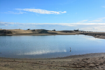 oasi di maspalomas isola gran canaria