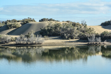 oasi di maspalomas isola gran canaria