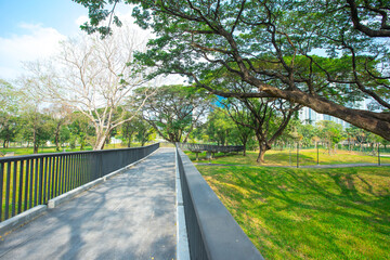 Benjakitti Forest Park, is new landmark public park of central Bangkok in Bangkok, Thailand.