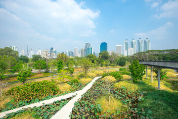 Fototapeta premium Benjakitti Forest Park, is new landmark public park of central Bangkok in Bangkok, Thailand.