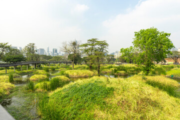 Fototapeta na wymiar Benjakitti Forest Park, is new landmark public park of central Bangkok in Bangkok, Thailand.