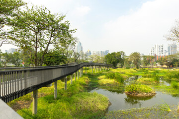 Benjakitti Forest Park, is new landmark public park of central Bangkok in Bangkok, Thailand.