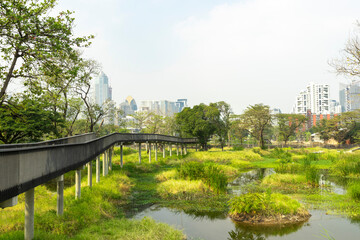 Fototapeta na wymiar Benjakitti Forest Park, is new landmark public park of central Bangkok in Bangkok, Thailand.