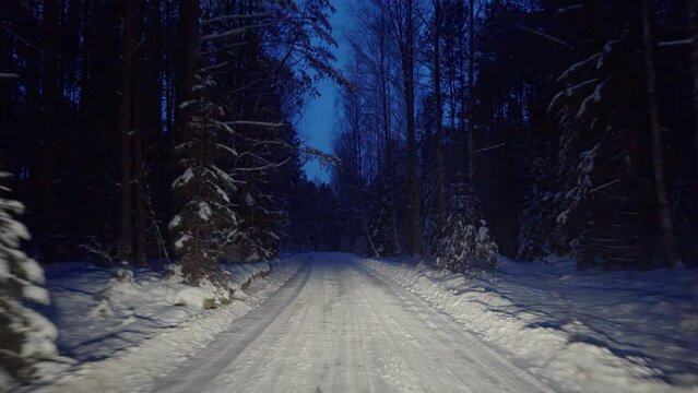 By car through the night winter forest