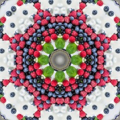 Abstract Pattern Mandala Flowers Berries Fruit Art 1