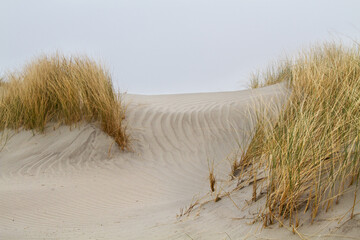 Dunes, grown with Marram grass, ripples in the sand