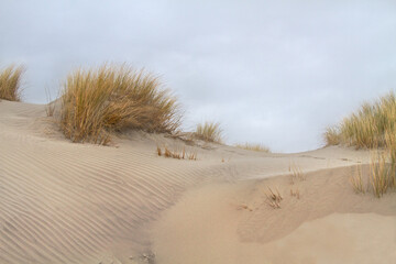 Dunes, grown with Marram grass, ripples in the sand