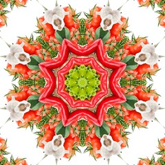 Abstract Pattern Mandala Flowers Full Color Red Green White 33