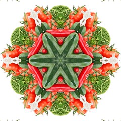 Abstract Pattern Mandala Flowers Full Color Red Green White 28