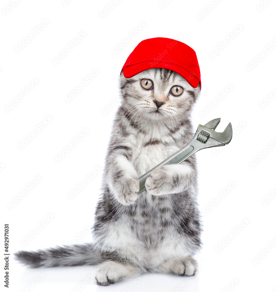 Aufkleber funny kitten worker wearing red cap holds adjustable wrench. isolated on white background