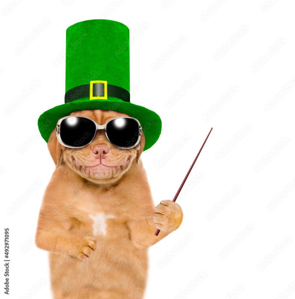 Poster St Patrick's Day concept. Smiling puppy wearing the hat of the leprechaun points away on empty space. isolated on white background