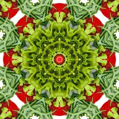 Abstract Pattern Mandala Flowers Full Color Red Green White 20
